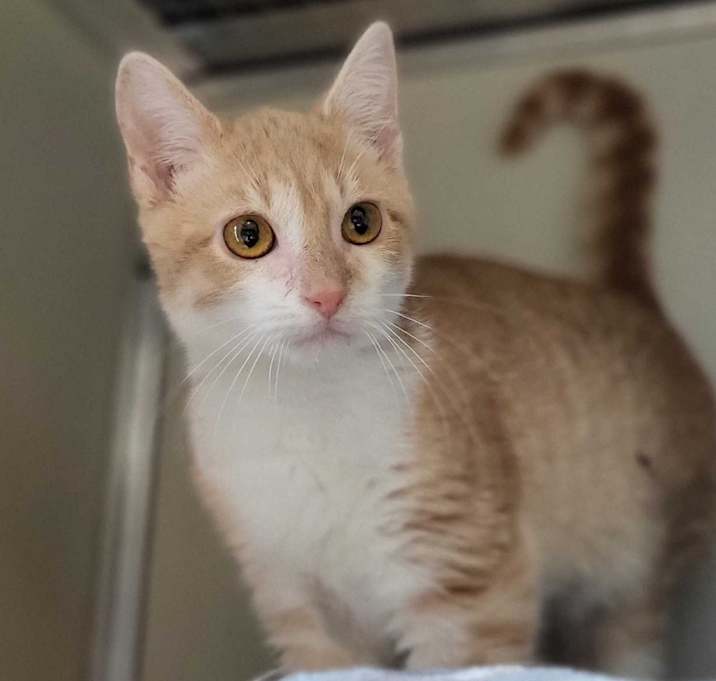 Photo of Leonardo DiCatrio