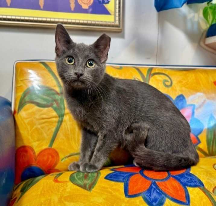 Photo of Bella Lopez