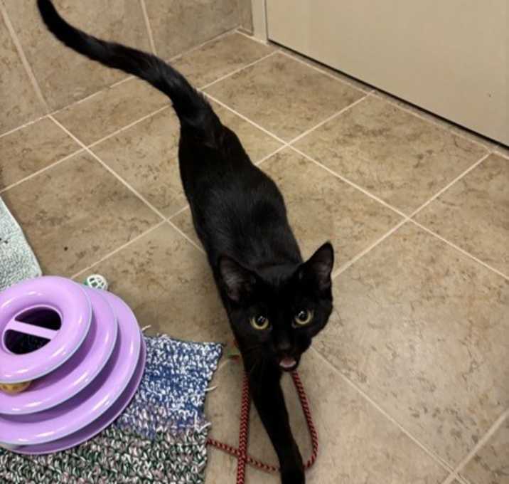 Photo of Alberta Haynes