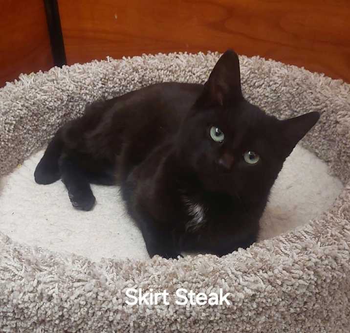 Photo of Skirt Steak