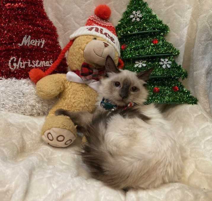 Photo of Prince Phillip