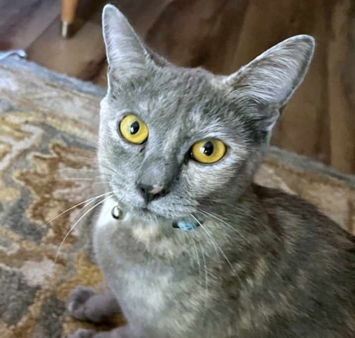 Photo of CLOUDY #1792 - Offereed by Owner