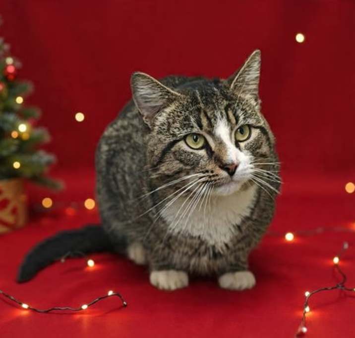 Photo of Charlie Brown 25/839