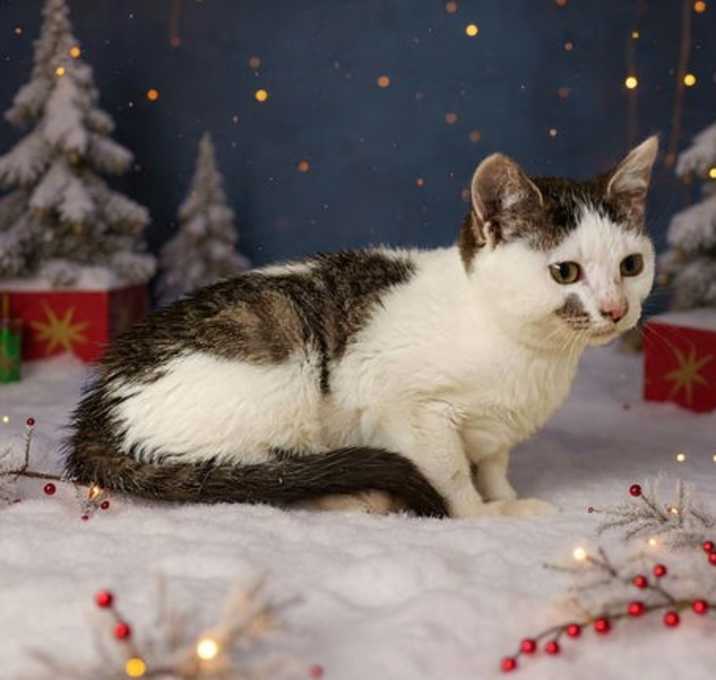 Photo of Victoria 25/807