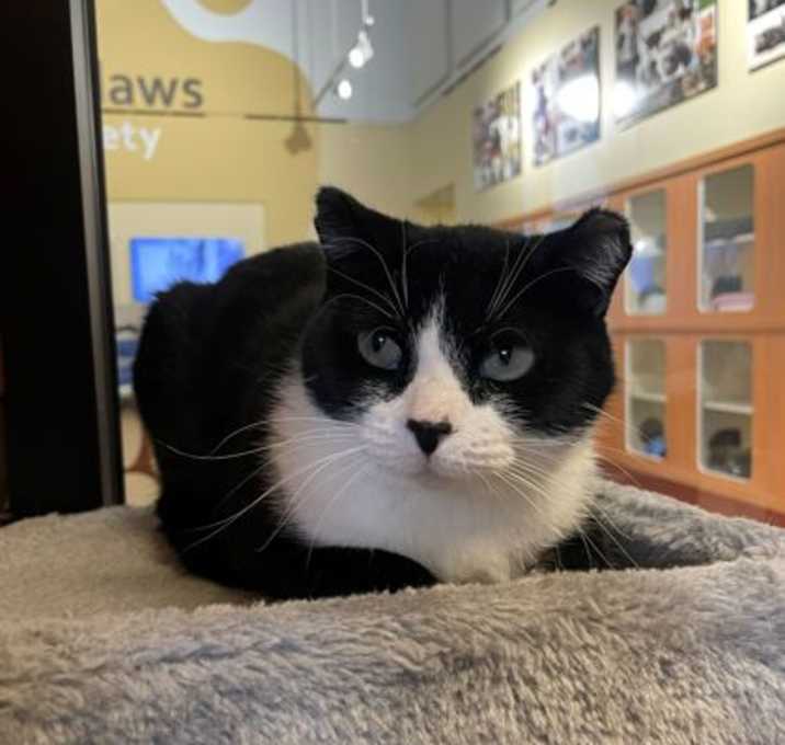 Photo of Bobbie Barker