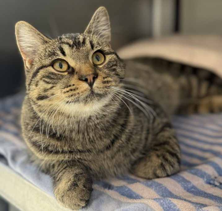 Photo of Trigger * Bonded With Big Mac