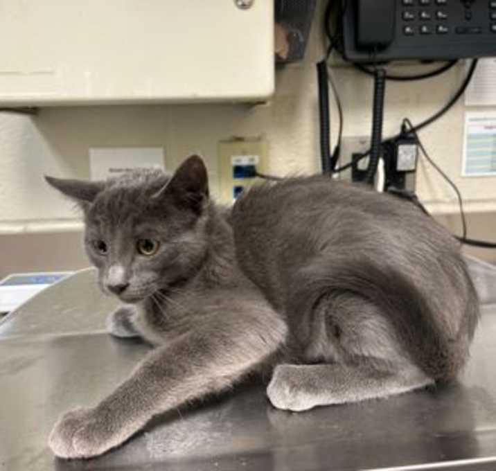 Photo of Cousin Eddie