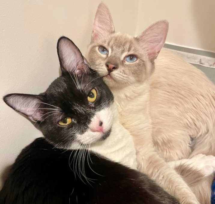 Photo of Bunch (Bonded with Scrunch)