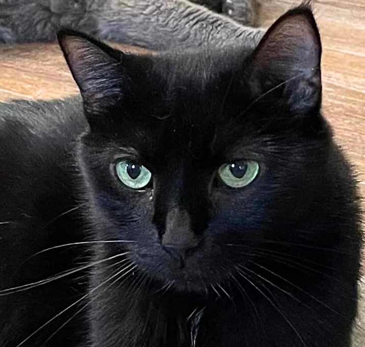 Photo of Tilly Millie