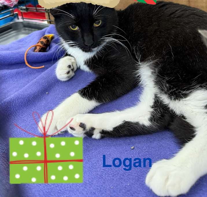 Photo of Logan