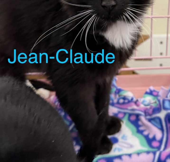 Photo of Jean-Claude