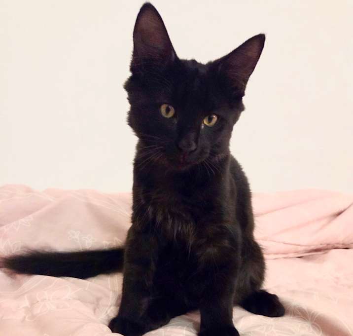 Photo of Bartholomew