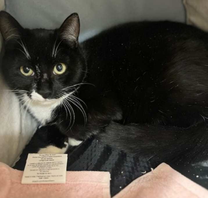 Photo of November~s25/26-0344