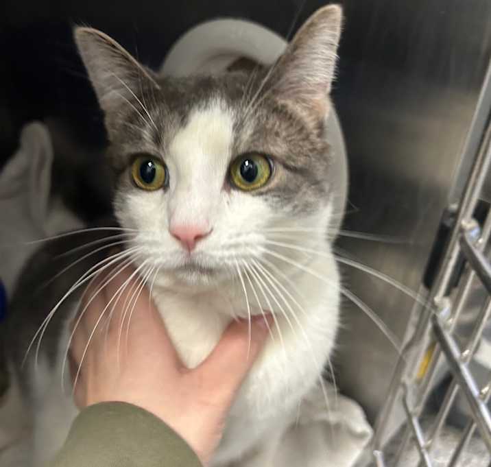 Photo of Mike (Critter Barn)