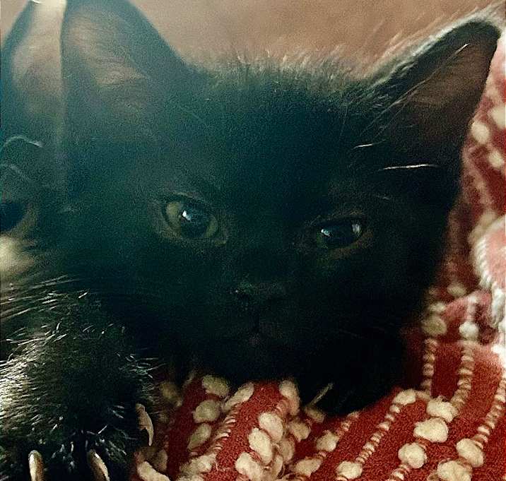 Photo of Amelia Bedelia