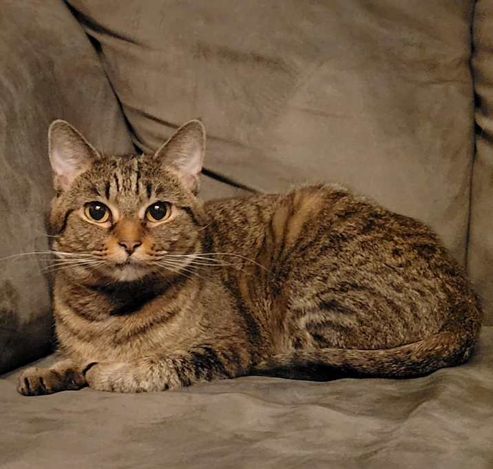 Photo of BCAS Bonnie