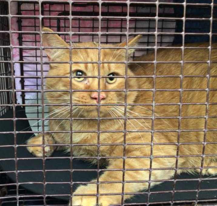 Photo of BARN DRAGONFRUIT