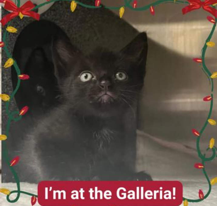 Photo of Dear Daniel