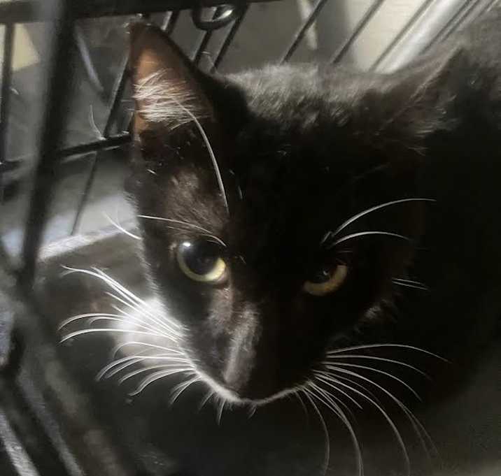 Photo of Later Tater