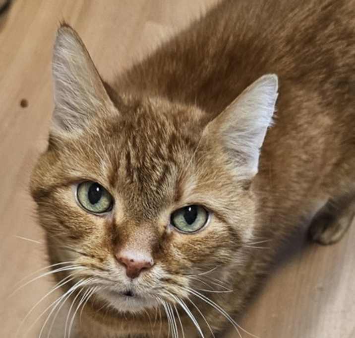 Photo of Spartacus~25/26-0173c