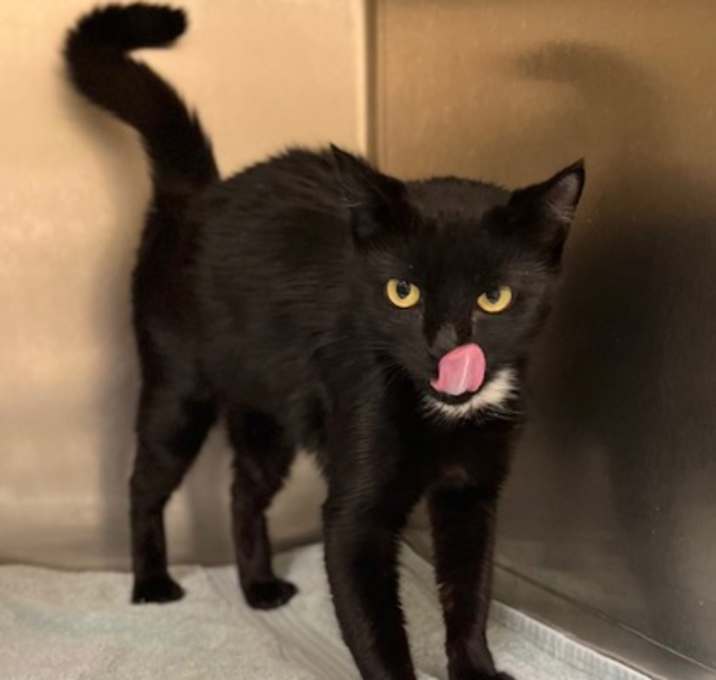 Photo of Octavia~s25/26-0341b