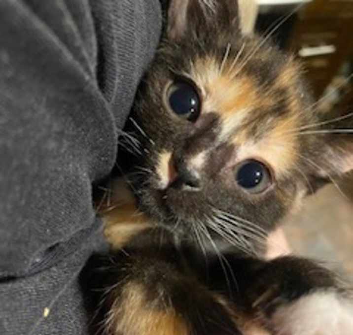 Photo of Sally & Marnie (in Foster)