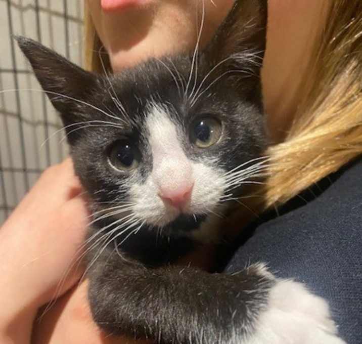 Photo of Marnie & Sally (in Foster)