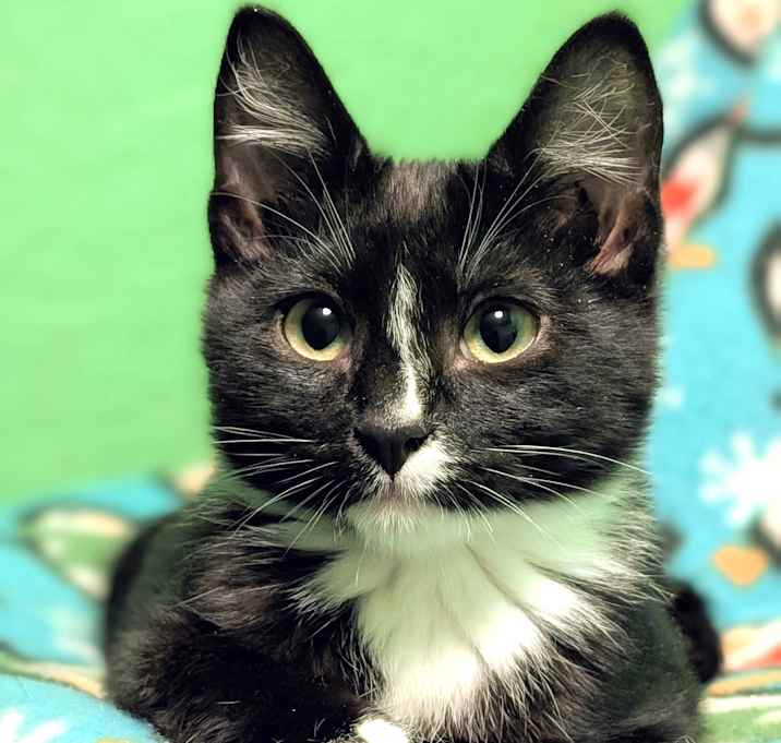 Photo of Shiloh: Sweetie Pie!