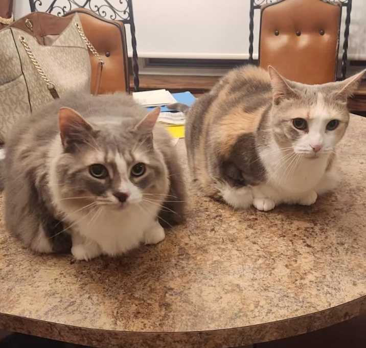 Photo of Minny and Izzy