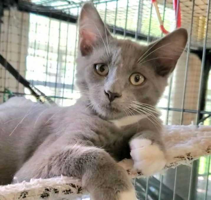 Photo of Coopers Beach