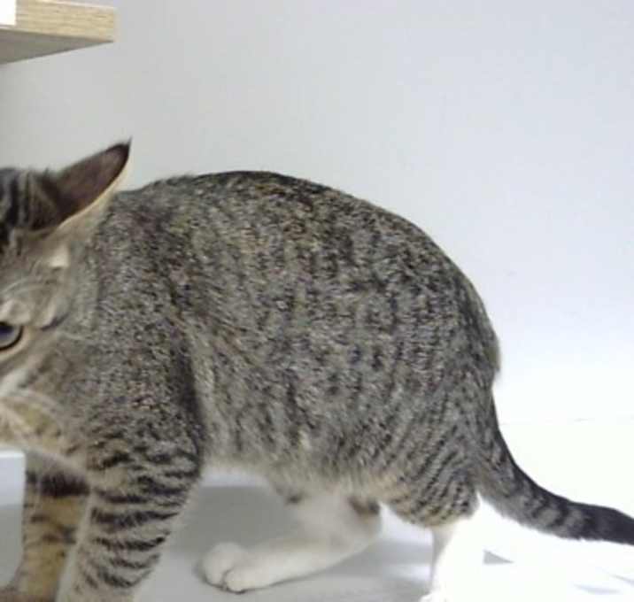 Photo of Darth Vader