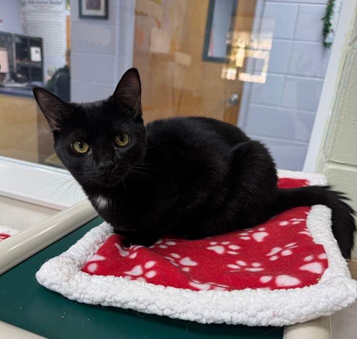 Photo of Will Ferrell 27706