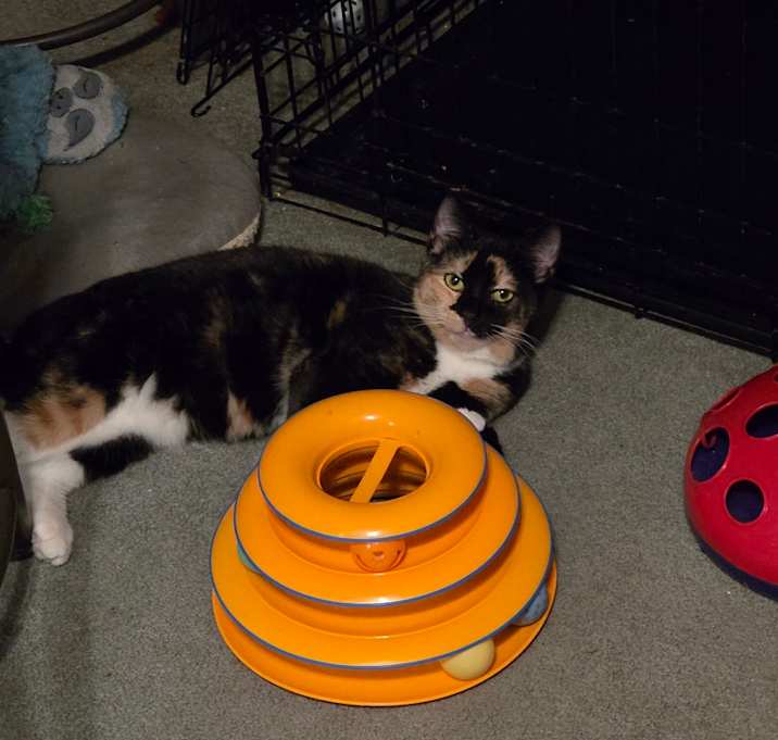 Photo of 0825-72 Griselda