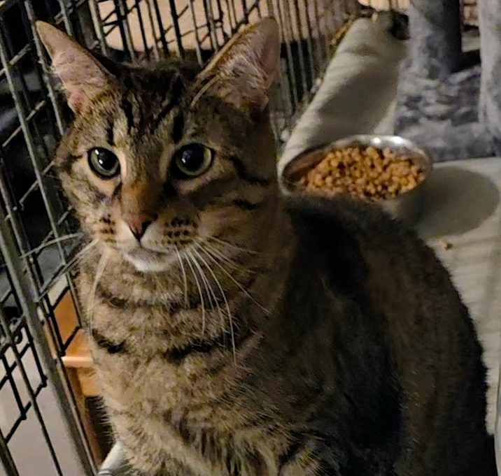 Photo of 0121-18 Nyla