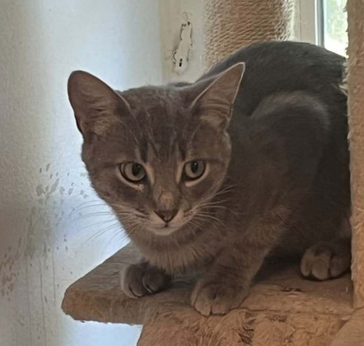 Photo of Montgomery Ward