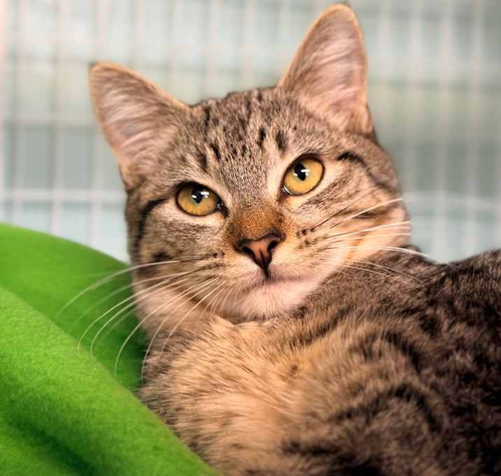 Photo of Serendipity