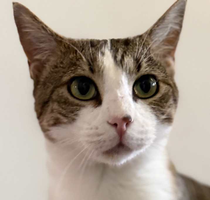 Photo of Cafe AuLait