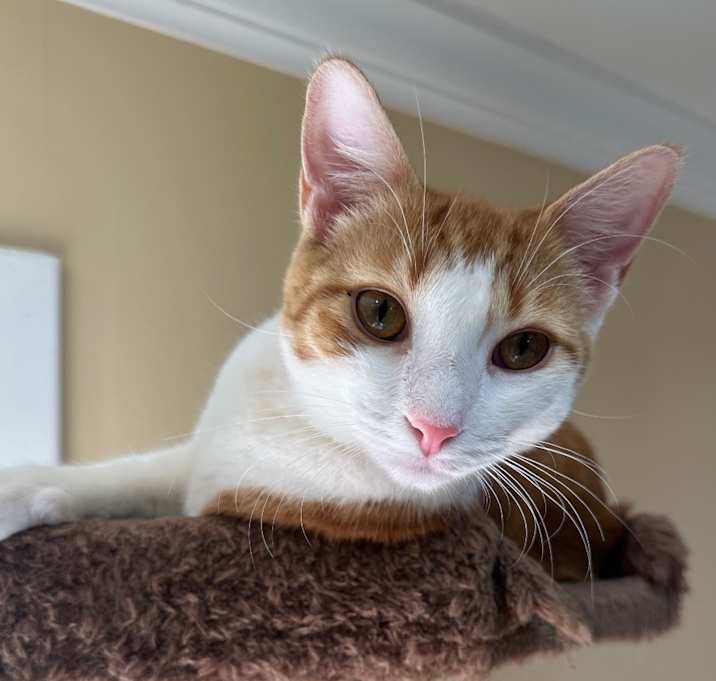 Photo of Ruckus Renew PW