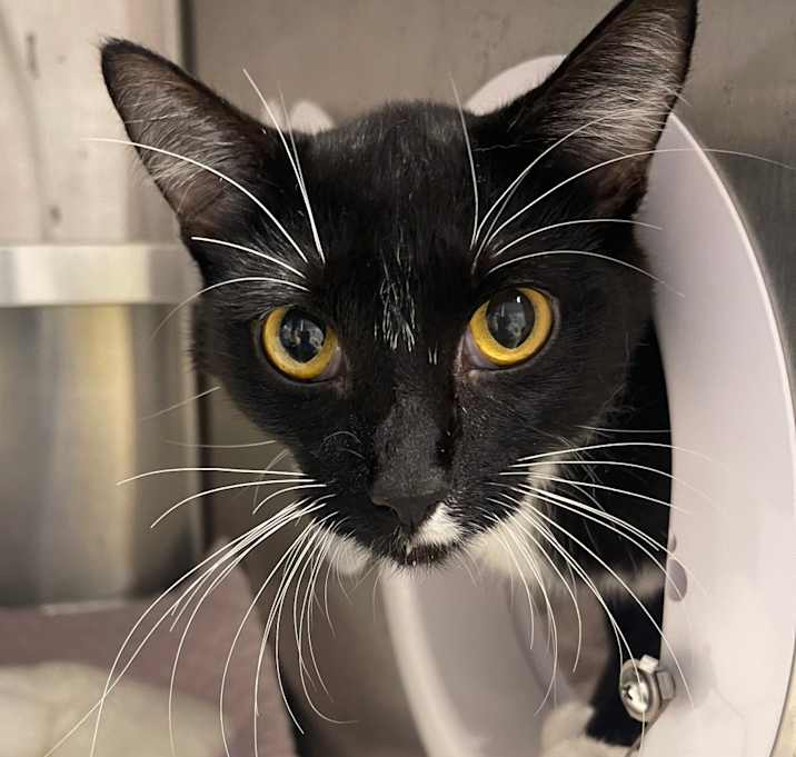 Photo of Abbie Falls