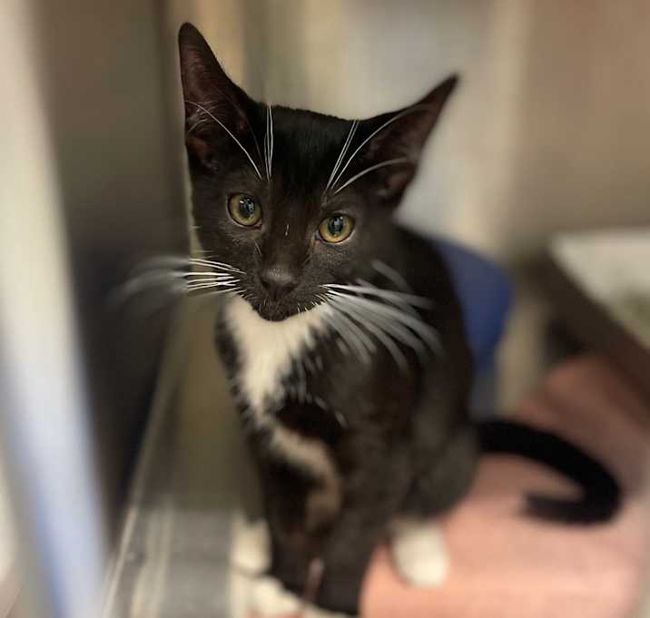 Photo of Fruit Snack