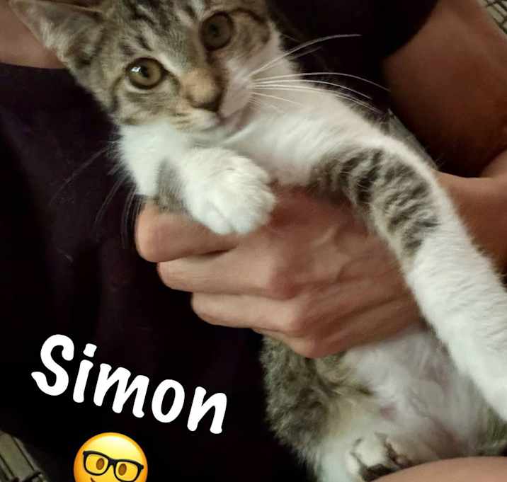 Photo of Simon