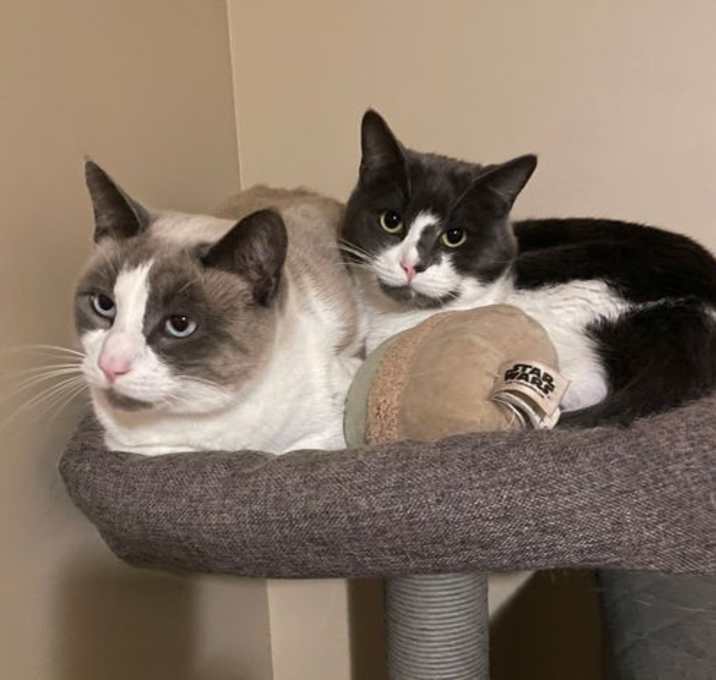 Photo of APOLLO & LECHE 1796 - Offered by Owner- Bonded