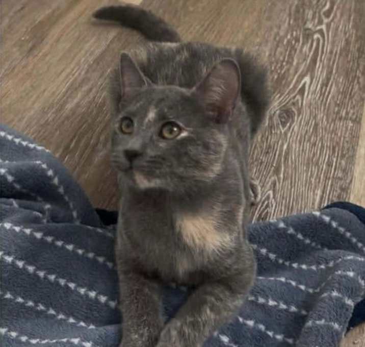 Photo of Morticia Bush