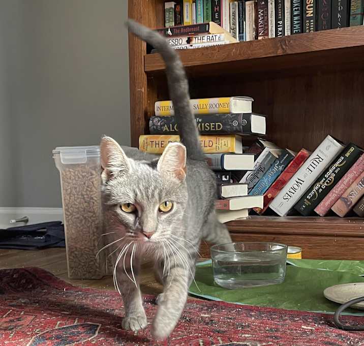 Photo of Cassidy Cedar