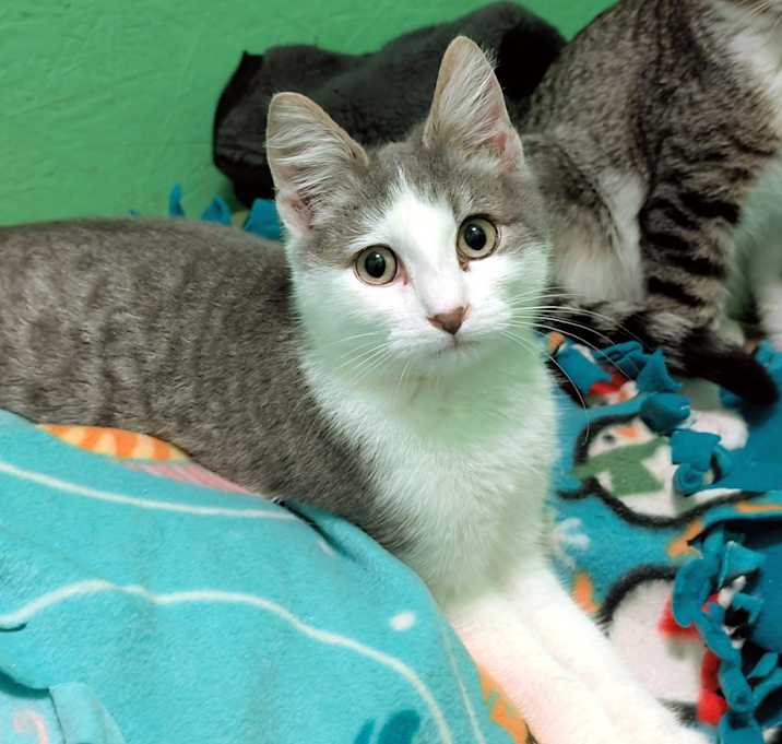 Photo of Scotty: What a Character!