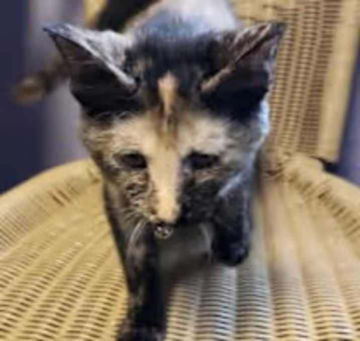 Photo of Madison Lou