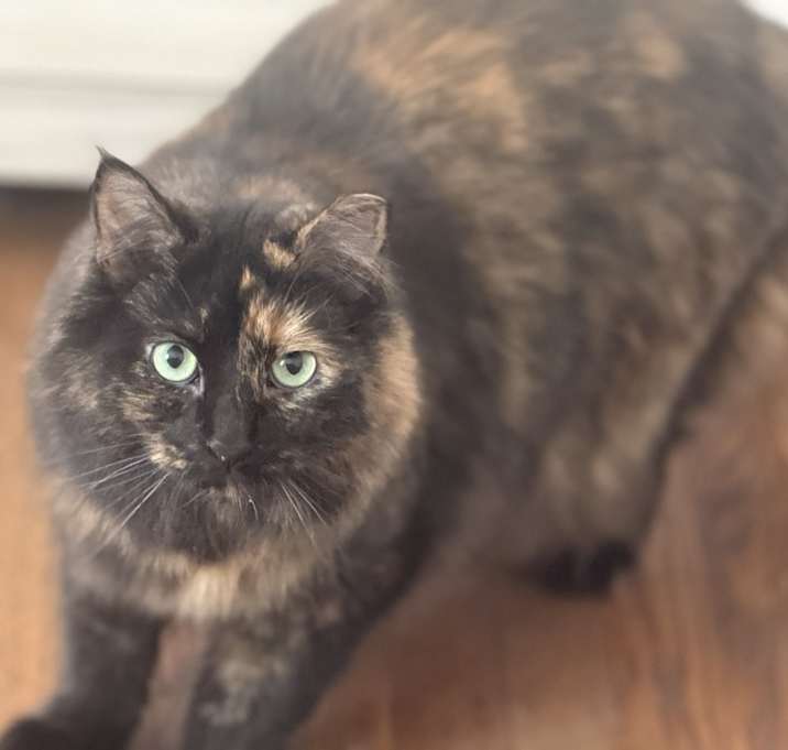 Photo of Duchess Luna Lisa Tepes