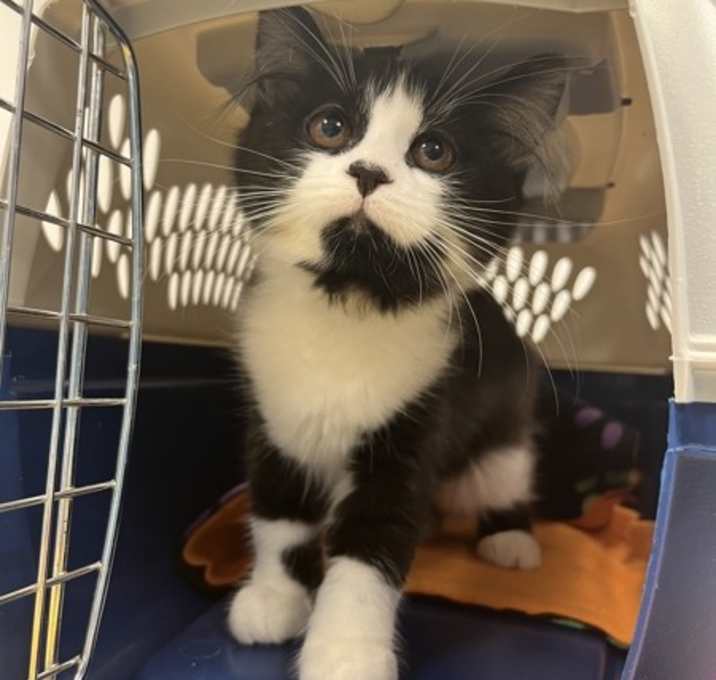 Photo of Grandma'S Fruit Cake