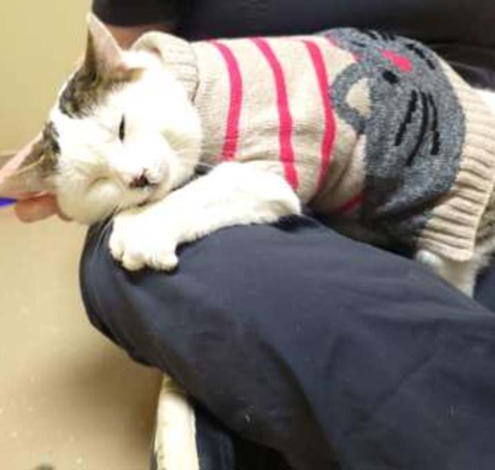 Photo of Mr. Yucky pants