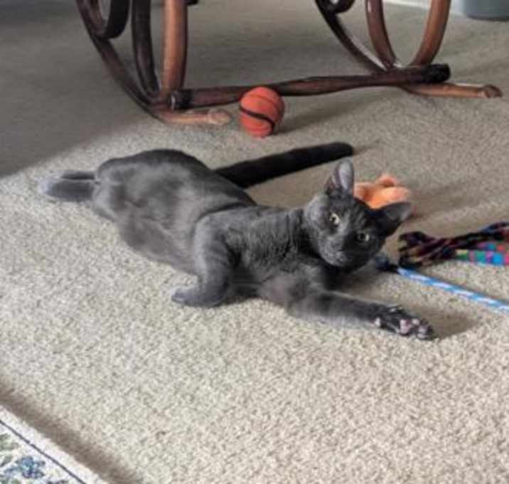 Photo of Stoney FOSTER